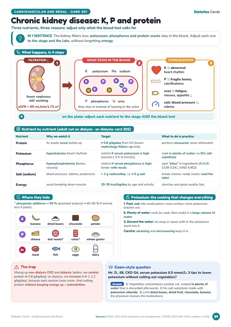 Card “Chronic kidney disease: K, P and protein” from Dietetics Cards